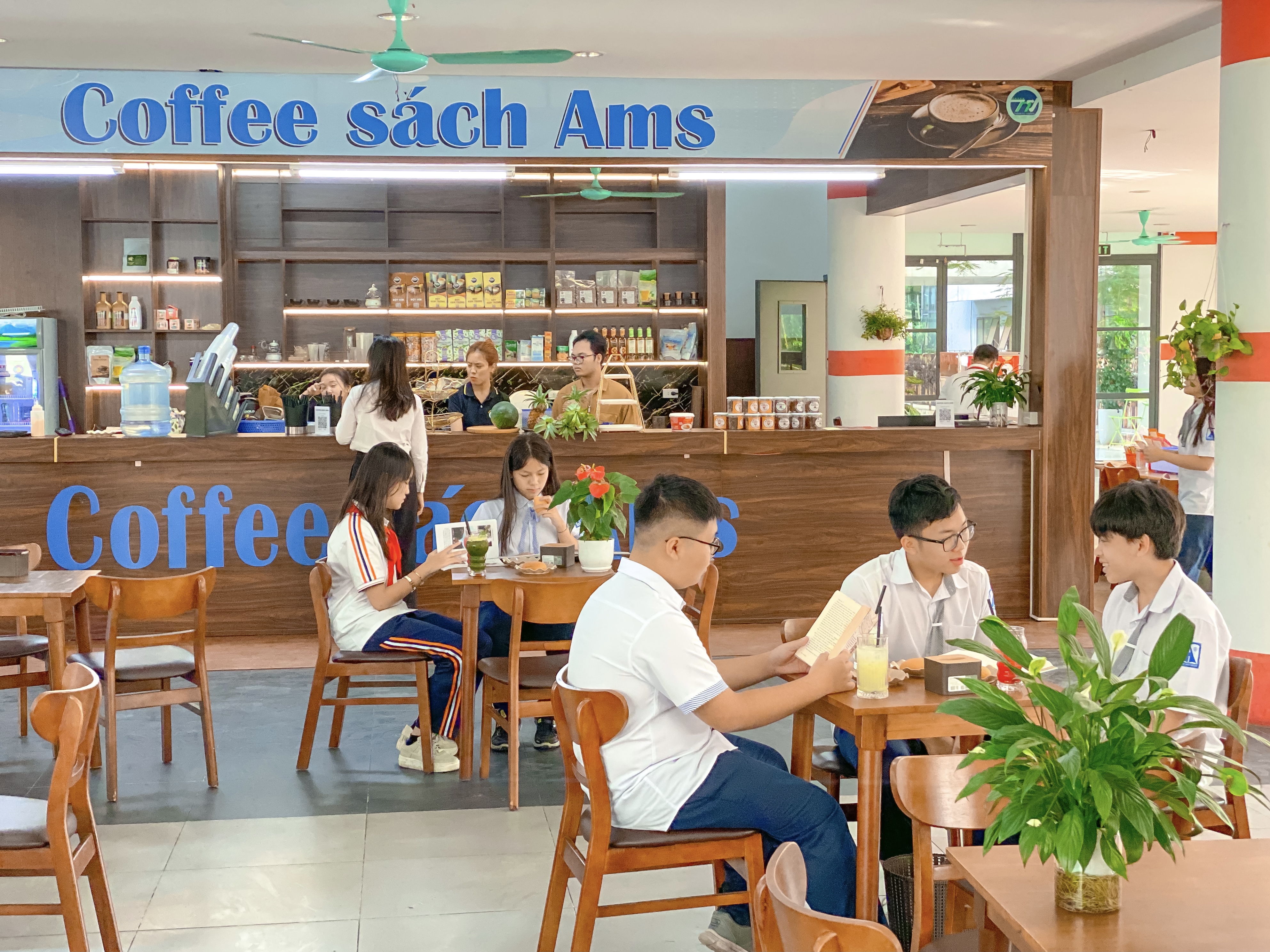 Đời sống AMS